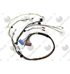 Cableado principal Themafast Condens 30