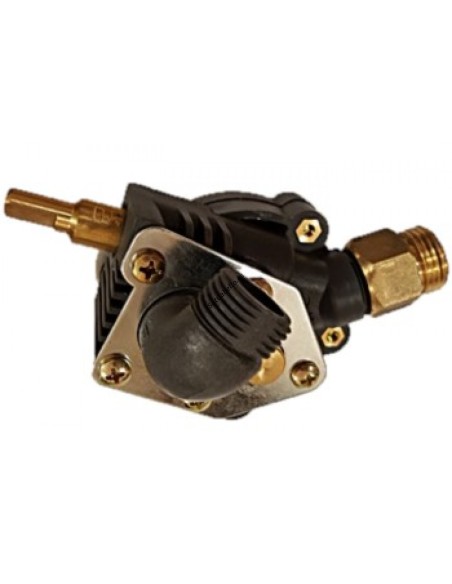 Cuerpo de agua Thermor Iono Select 11