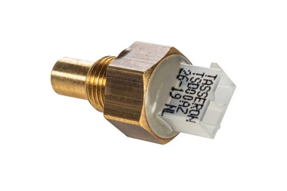 Sonda de temperatura Warmhaus Enerwa 24 28 33