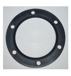 Junta termo Bosch ES100 FD<373