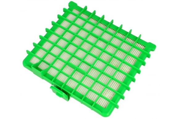 Filtro HEPA Rowenta RO5761