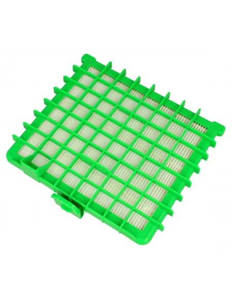Filtro HEPA Rowenta RO5761