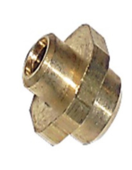 Inyector piloto caldera Vaillant GN (paso 0,30)