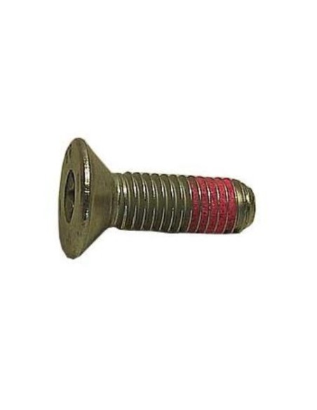 Tornillo polea tambor Balay