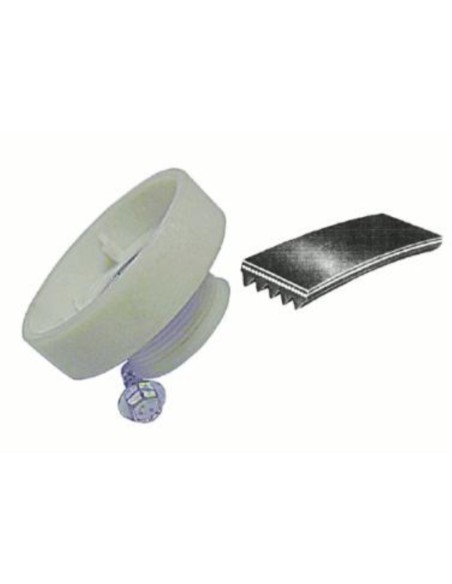 Polea motor secadora SFS 54 CE