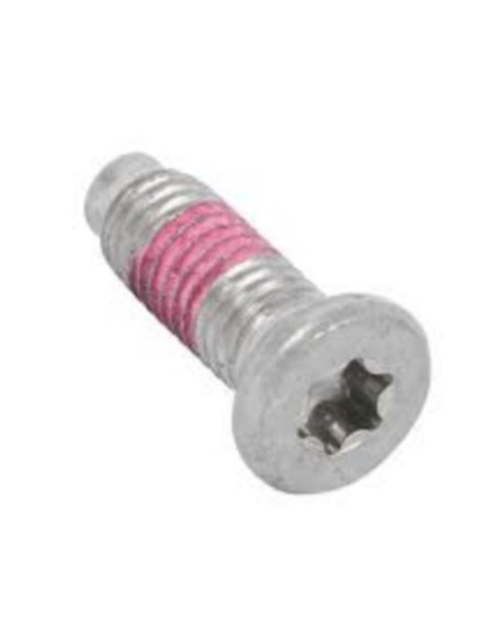 Tornillo pata