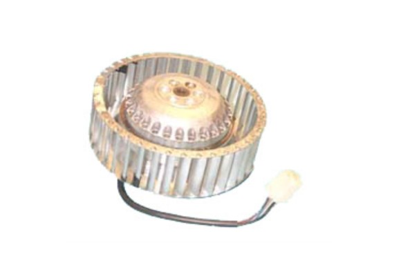 Motor secadora Candy giro derecha