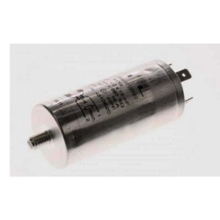 Filtro antiparasitario Miele W989I