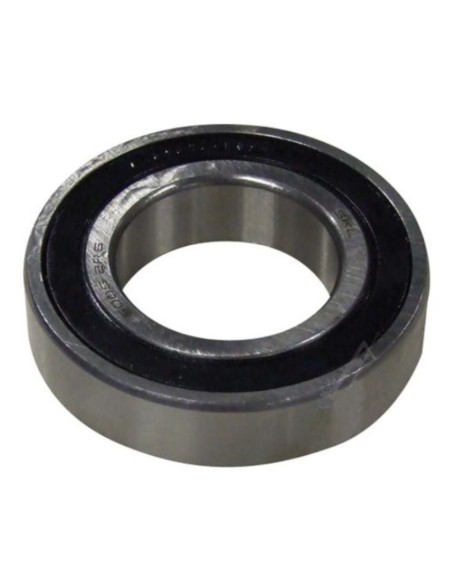 Rodamiento 6006RS