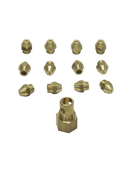 Conjunto inyector calentador Cointra 10 lts GN