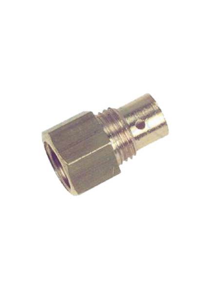 Inyector piltoto calentador Cointra 10 L GLP