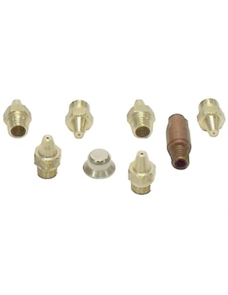 Conjunto inyector calentador Junkers 5 L (8 ud.)