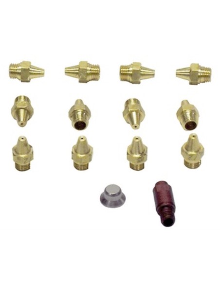 Conjunto inyector calentador Junkers 10lts 12 + 2