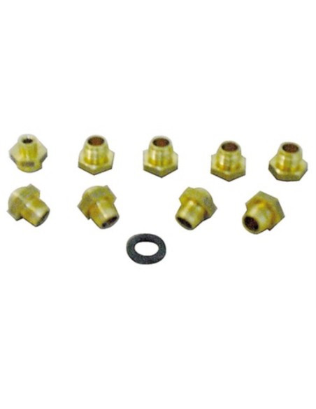 Conjunto inyector calentador Vaillant 5L 9 ud GLP 
