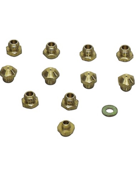 Conjunto inyector calentador Vaillant 10 L (11 ud)