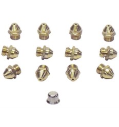 Conjunto inyectores calentador Saunier Duval 10 L
