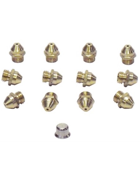 Conjunto inyectores calentador Saunier Duval 10 L