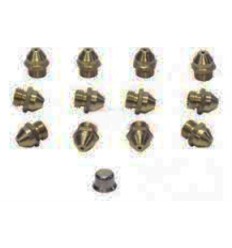 Conjunto inyectores calentador Saunier Duval GN