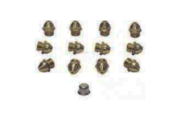 Conjunto inyectores calentador Saunier Duval GN