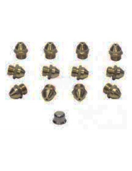 Conjunto inyectores calentador Saunier Duval GN