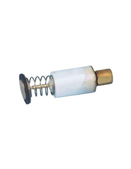 Electroiman calentador Vaillant 5 L