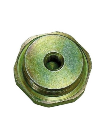 Tapon anodo 1" M8