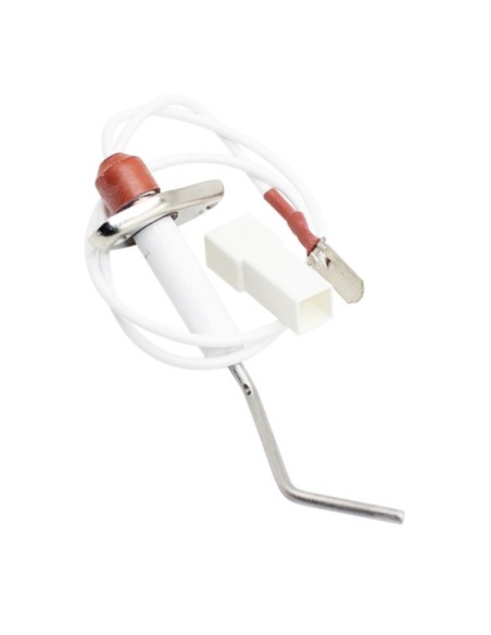 Electrodo ionizacion Manaut Myto Condens inox
