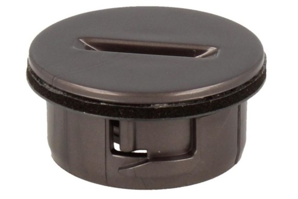 Tapon de rodillo Dyson DC45