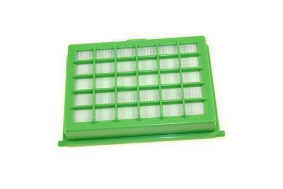 Filtro HEPA Rowenta RO5253