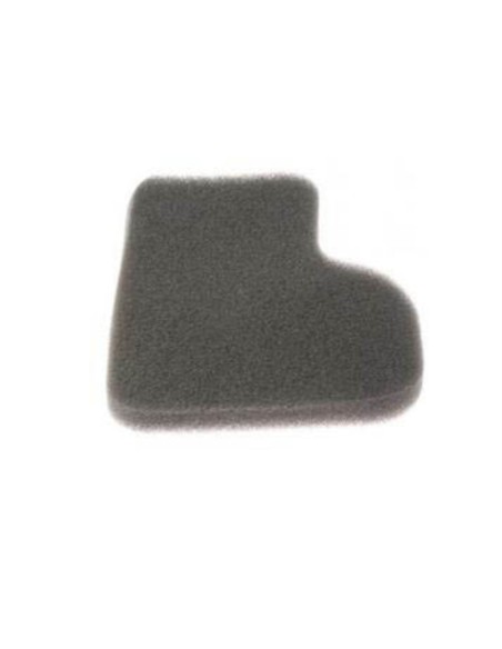Filtro aspirador Rowenta RO5253