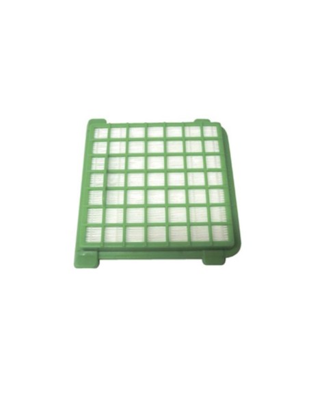 Filtro aspirador Rowenta RO1243IA