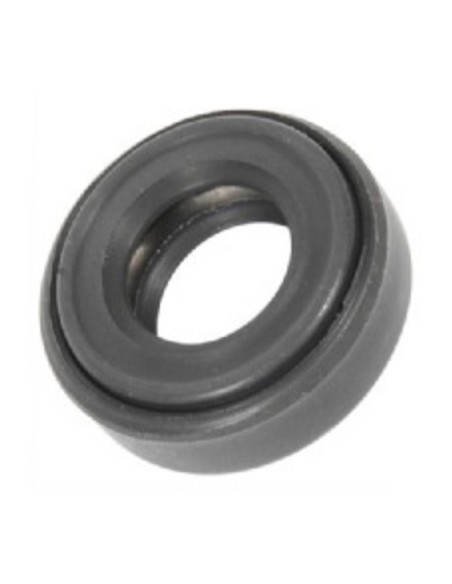 Reten 22x11x6,5 mm.