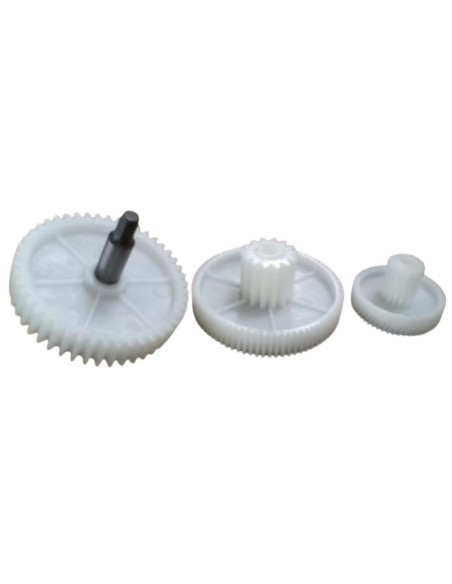 Conjunto piñones picadora Lacor