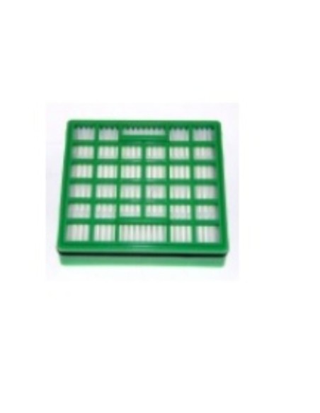 Filtro hepa aspirador Rowenta RO6679