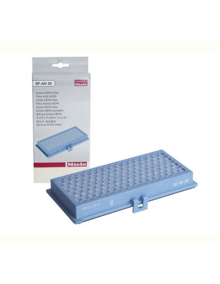 Filtro Hepa SF-AH30 aspirador Miele