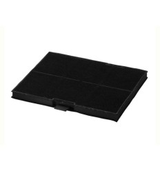 Filtro carbon Bosch DWW09E850