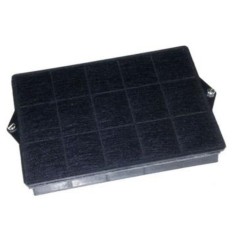 Filtro carbon 290x230x39 mm.