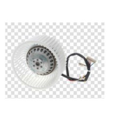 Motor derecho campana extractora Bosch DHL555B