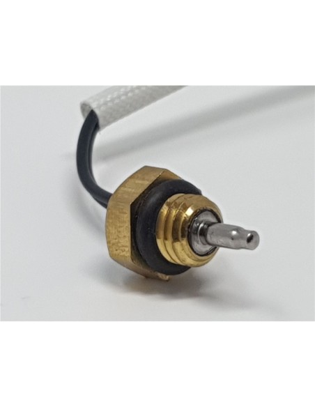 Sonda temperatura Neckar W10