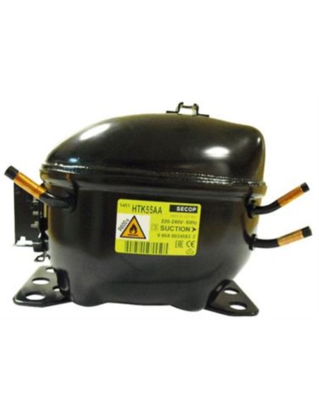 Motor Compresor 1/9 R600