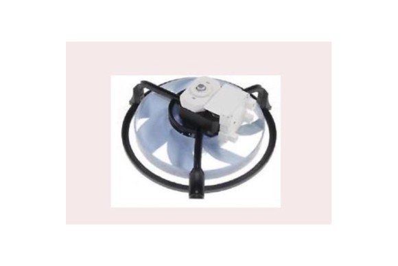 Motor deshumificador Delonghi DEC21 *obsoleto*