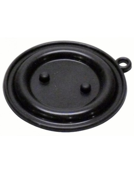 Membrana calentador Cointra 5 lts. c/tetones
