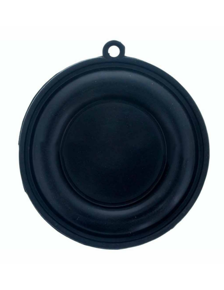 Membrana calentador Cointra 10 lts 65mm