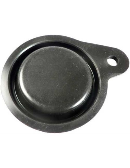 Membrana calentador Fagor oreja pequeña