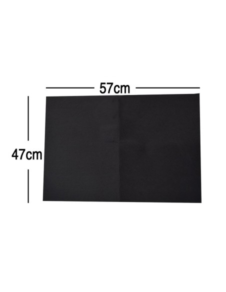 Filtro carbon campana 57x47 antiolores