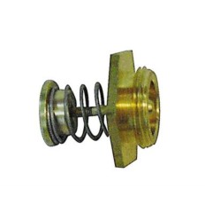 Regulador de agua calentador Fagor Cointra (obsol)