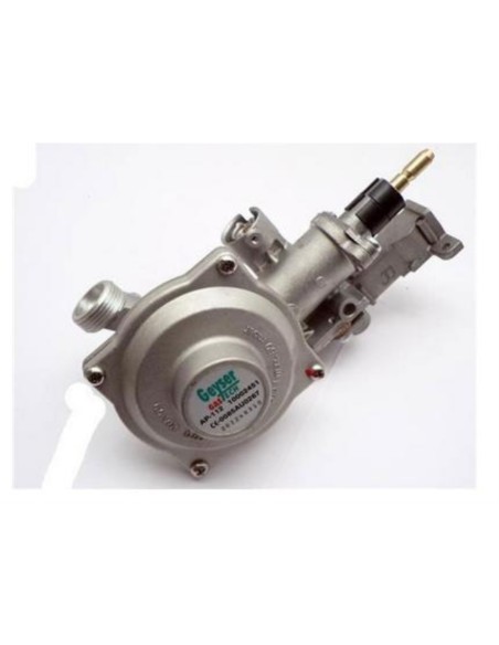 Cuerpo de gas calentador Fagor fep11