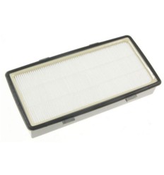 Filtro HEPA Rowenta RO6941EA
