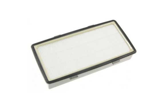Filtro HEPA Rowenta RO6941EA