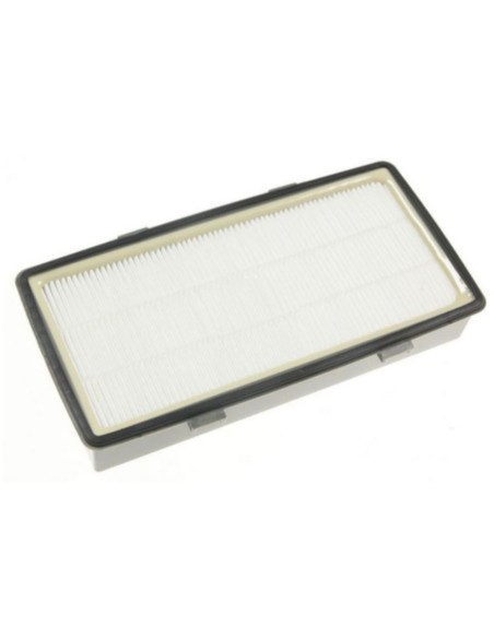 Filtro HEPA Rowenta RO6941EA